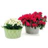 Round lacquered metal embossed basket Leaves