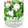 Galvanized metal basket - Fleurs & Jardin