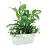Zinc flower planter
