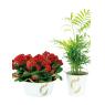 White metal floral containers