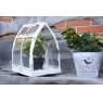 White antique metal and plexiglass greenhouse