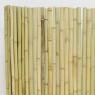Bambou fence