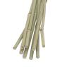 Set of 10 bamboo canes