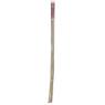 Set of 10 bamboo canes