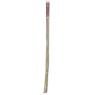 Set of 10 bamboo canes