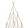 Bamboo teepee trellis