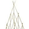 Bamboo teepee trellis