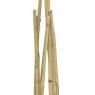 Bamboo teepee trellis