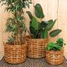 Pulut rattan pot covers
