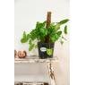 Wooden pot cover
