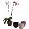 Ceramic orchid pot holder