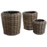 Pulut rattan and plastic pot covers