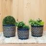 Stained rush flower pot cover