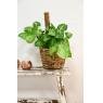 Antique rattan pot covers
