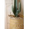 Stained seagrass baskets