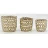 Set of 3 round seagrass baskets