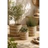 Set of 3 round seagrass baskets