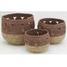 Set of 3 rush planters