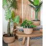 Cache-pots en jonc