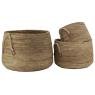 Set of 3 Banania flower pot