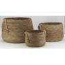 Set of 3 Banania flower pot