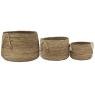 Set of 3 Banania flower pot