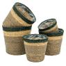 Cache-pots en jonc brun