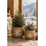 Set of 2 banana tree planters