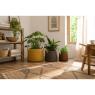 Seagrass planters