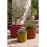 Seagrass planters