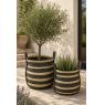 Maize and rush planters