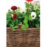 Jardinière en osier brut