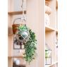 Glass bottle with hemp rope