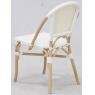 Rattan and resin chair