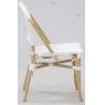 Rattan and resin chair