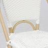 Rattan and resin chair