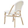 Rattan and resin chair