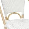 Rattan and resin chair