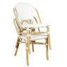 Rattan and resin chair