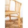Natural rattan armchair