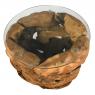 Natural teak and glass round bowl coffee table