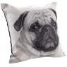 Coussin chien en coton