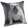 Coussin chien en coton