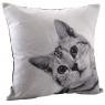 Cotton cat cushion