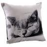 Coussin chat en coton