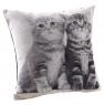 Cotton cat cushion