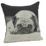 Cotton cushion with dog design