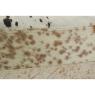 Cowhide cushion