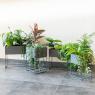 Square matt lacquered metal plant stands