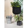 Black willow pot covers